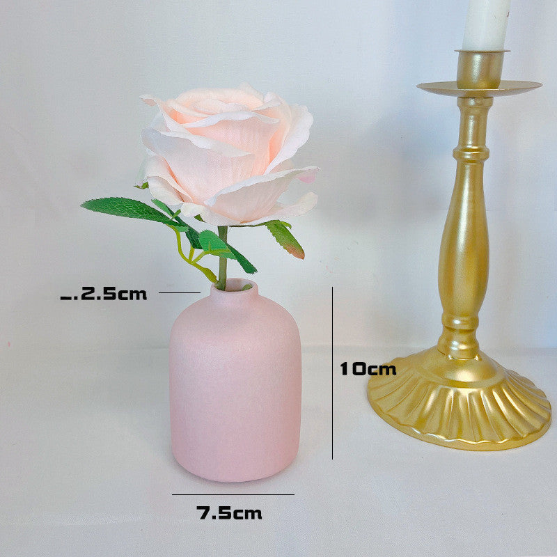 Ceramic Hydroponics Decoration Flower Vase