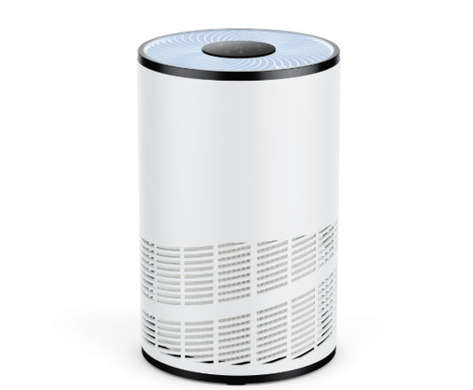 Home Air Purifiers